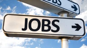 The 4 P’s of the Job Search
